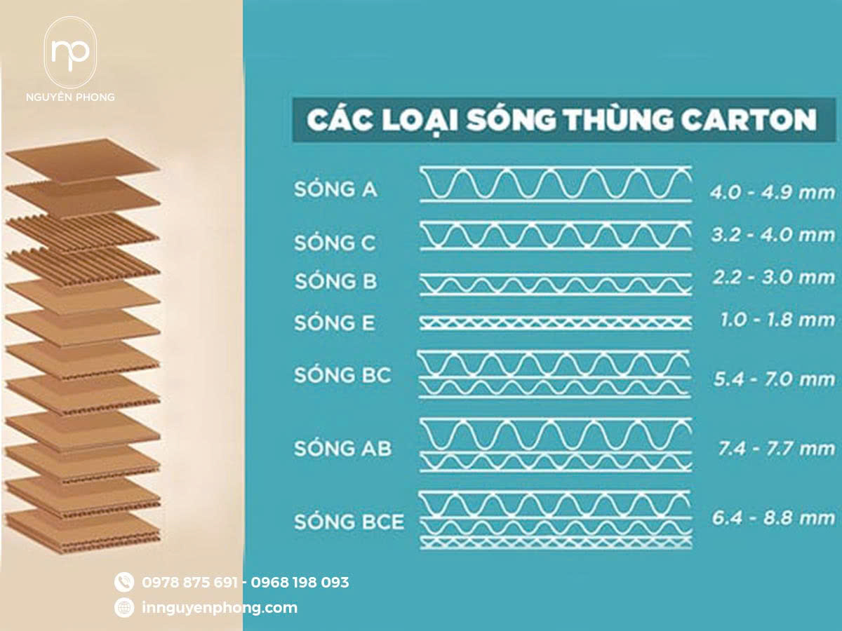 Phân loại các loại sóng